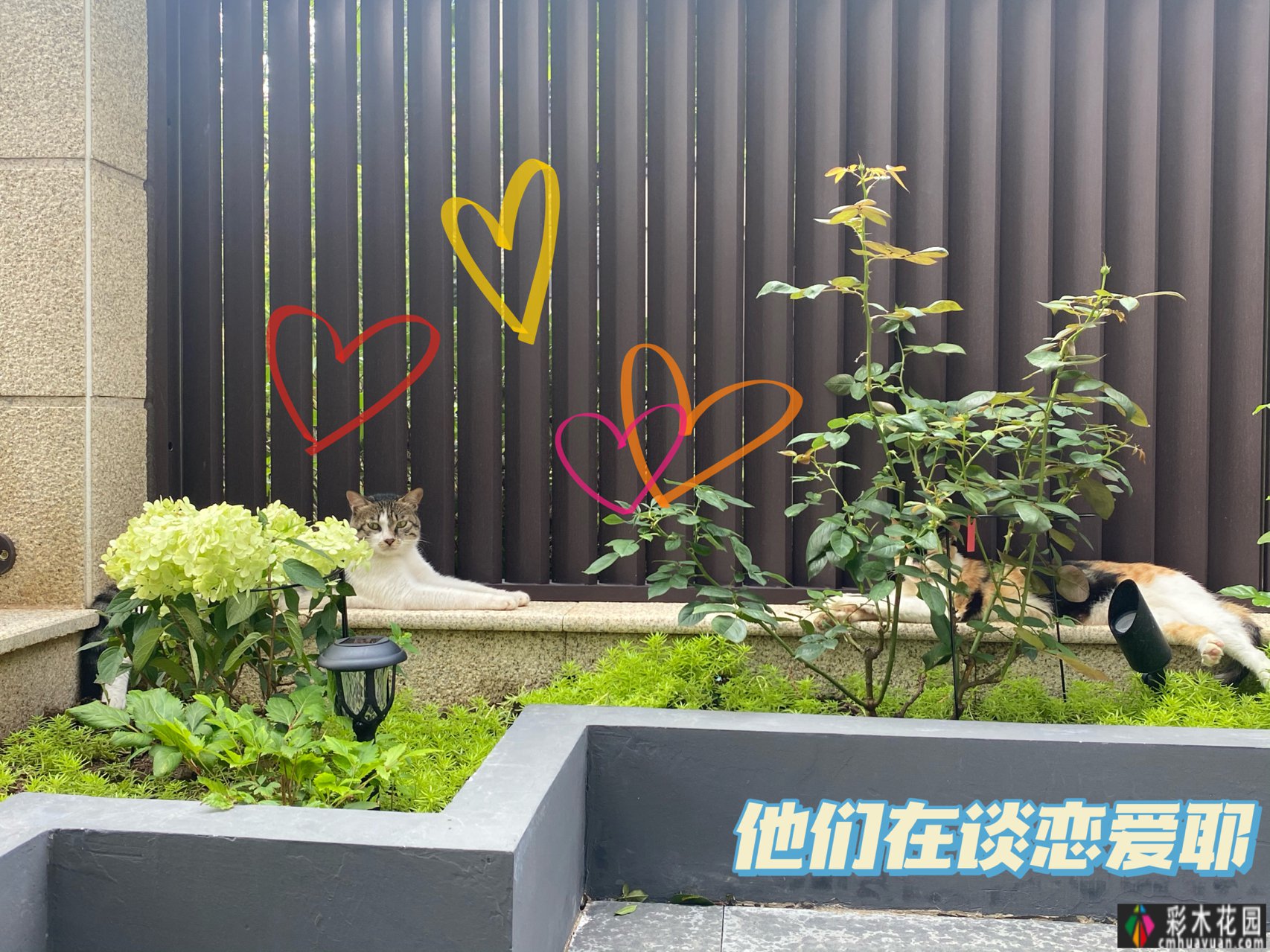 一楼真的值得买吗?庭院一楼的房子让人感到兴奋的原因有12个。太香了。