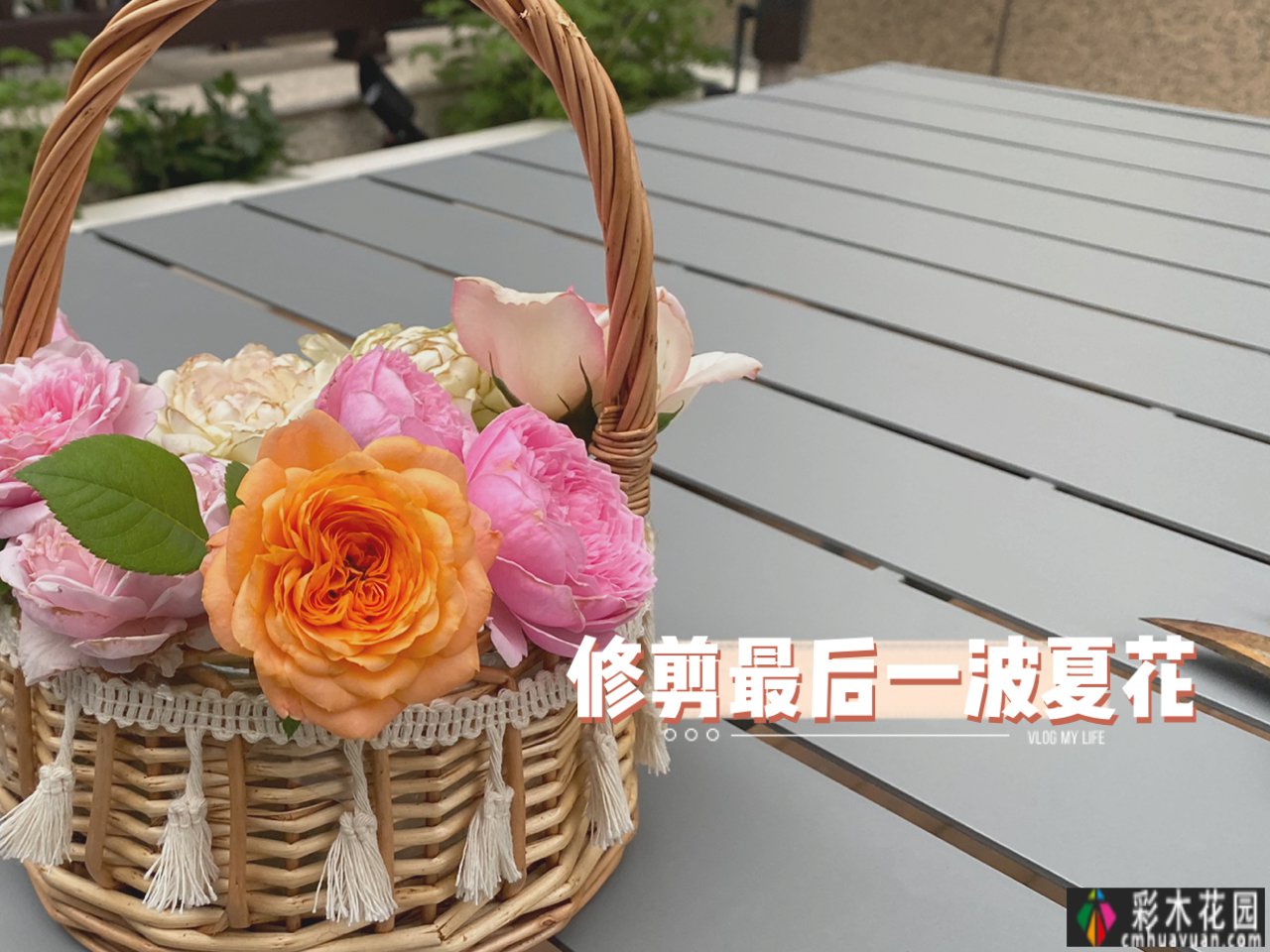 一楼真的值得买吗?庭院一楼的房子让人感到兴奋的原因有12个。太香了。