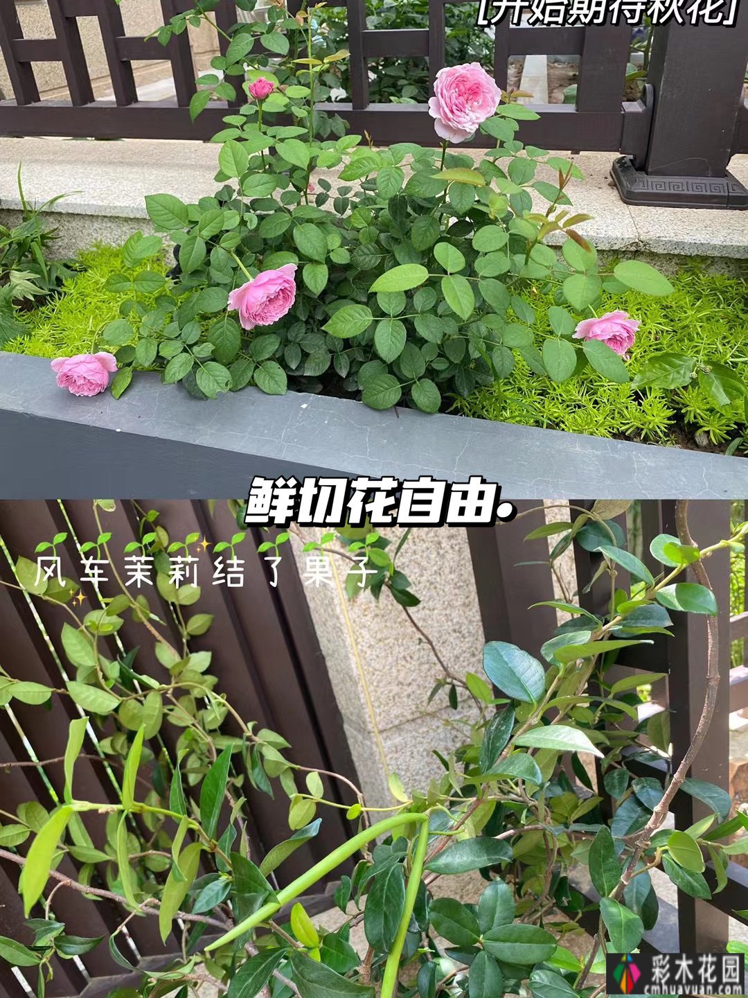 一楼真的值得买吗?庭院一楼的房子让人感到兴奋的原因有12个。太香了。