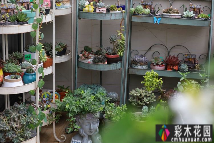 一年前买了一套郊区的房子,自己动手做了一个15m2 花园的露台,很漂亮。