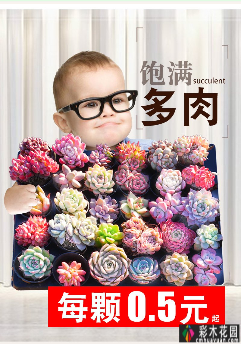 一年前买了一套郊区的房子,自己动手做了一个15m2 花园的露台,很漂亮。
