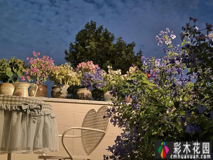 一年前买了一套郊区的房子,自己动手做了一个15m2 花园的露台,很漂亮。