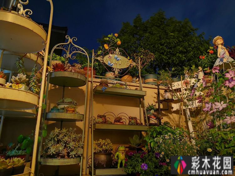 一年前买了一套郊区的房子,自己动手做了一个15m2 花园的露台,很漂亮。