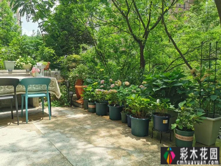 一楼一个28㎡的小院,用2年的时间,通过DIY改造成了小花园,享受着高层住宅无法拥有的幸福。