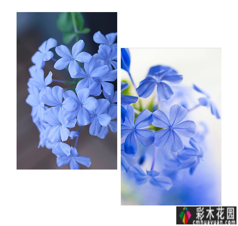拥有一个1000m2 花园是一种体验,用5年时间把荒地变成了大片花园。