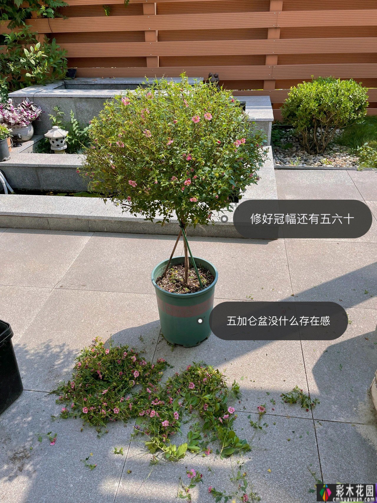 不到6万,改造72㎡现代庭院花园,教你做一个低保养花园的懒人。