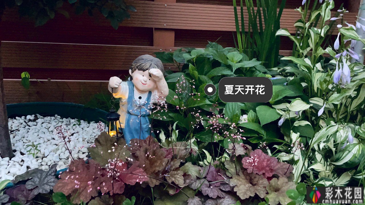 不到6万,改造72㎡现代庭院花园,教你做一个低保养花园的懒人。