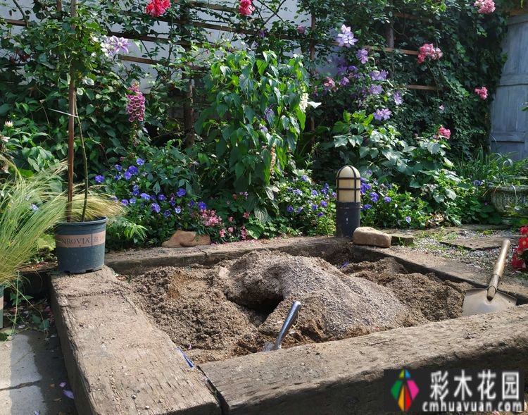 这个10 ㎡的破旧院落,经过4年的花园改造,如今开满了鲜花,太美了。