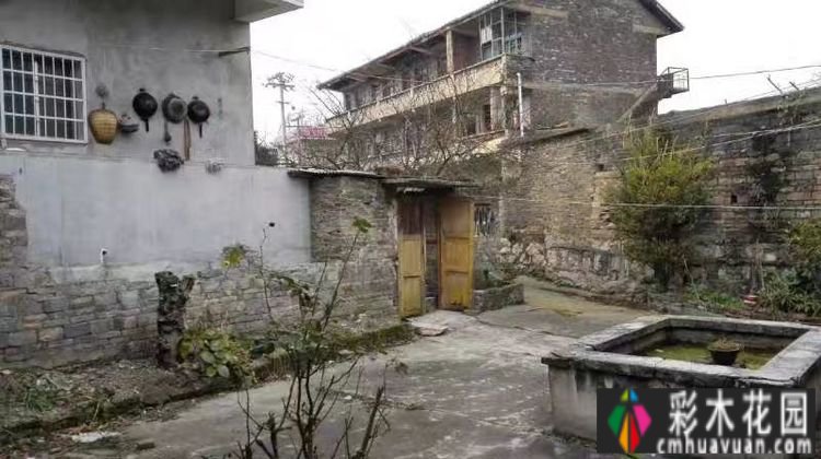 这个10 ㎡的破旧院落,经过4年的花园改造,如今开满了鲜花,太美了。