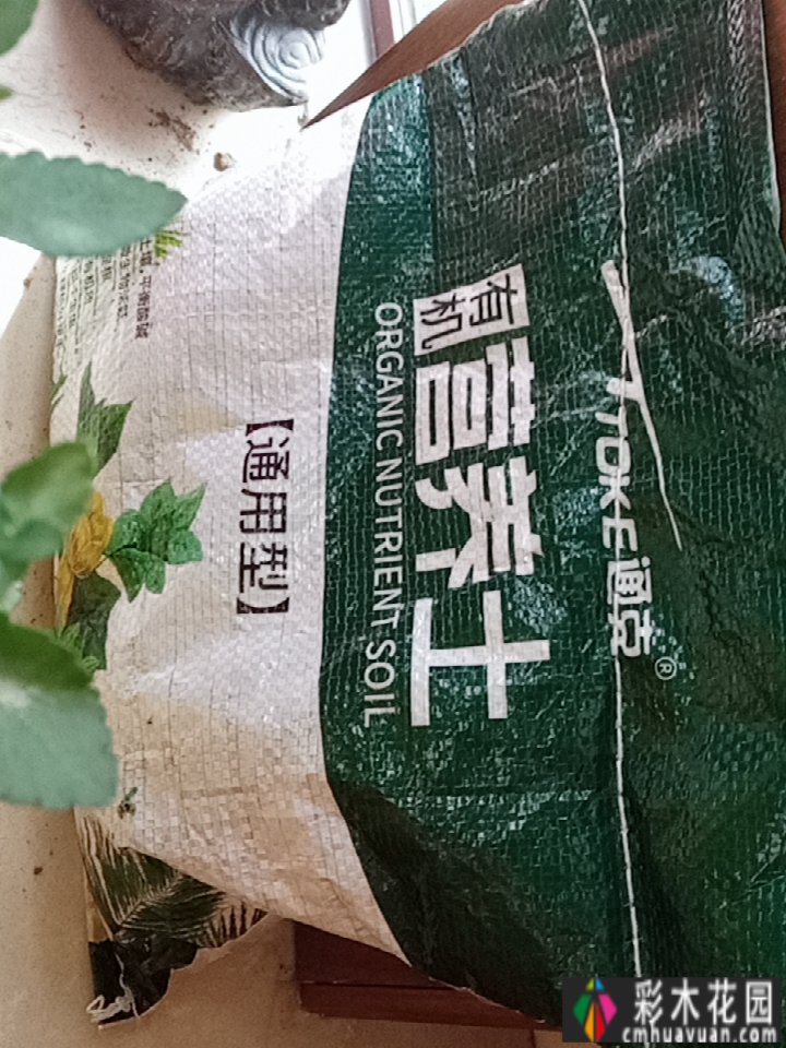 三年前，我在一楼买了一个30㎡的院子，亲手盖了一个小的花园的。我不会厌倦呆一天。