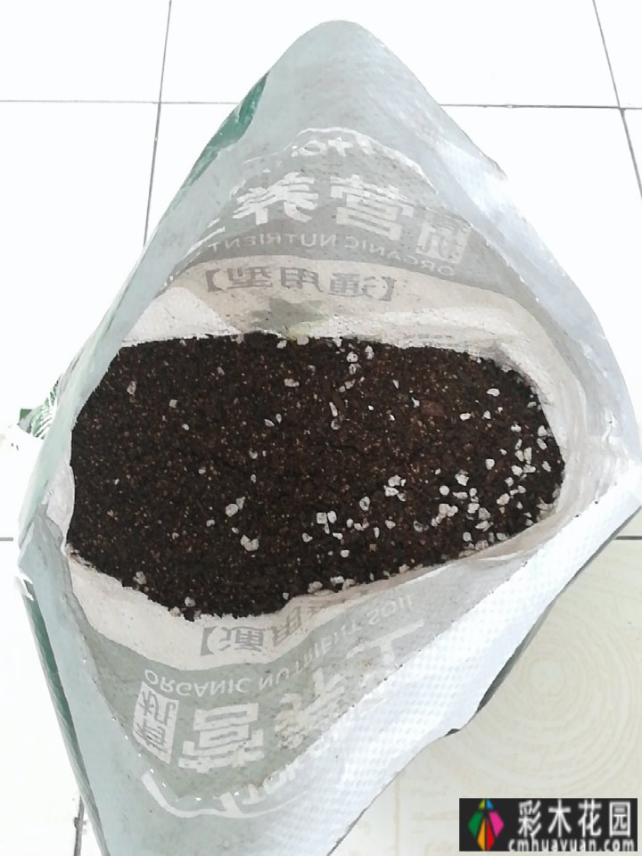 三年前，我在一楼买了一个30㎡的院子，亲手盖了一个小的花园的。我不会厌倦呆一天。
