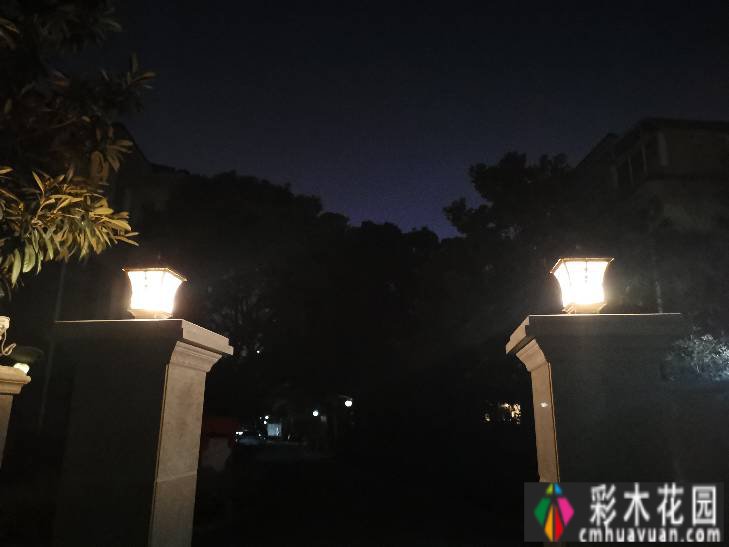 7年前买了一套270㎡的别墅庭院，现在是一年四季花开的网红花园。