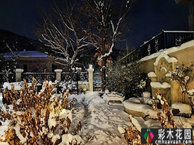 7年前买了一套270㎡的别墅庭院，现在是一年四季花开的网红花园。
