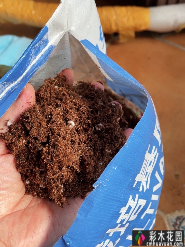 7年前买了一套270㎡的别墅庭院，现在是一年四季花开的网红花园。