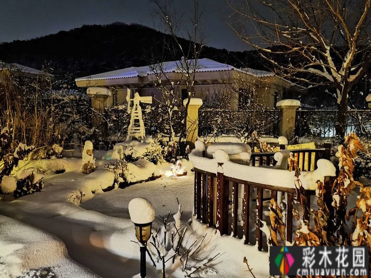 7年前买了一套270㎡的别墅庭院，现在是一年四季花开的网红花园。