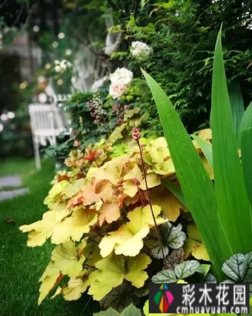 小面积花园 how 设计？Private 花园装饰避坑指南，看完玩得开心。