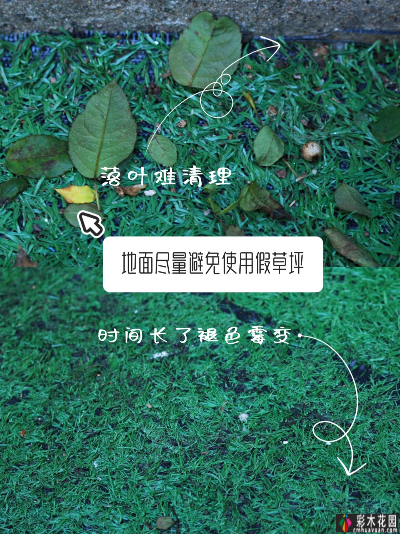 小面积花园 how 设计？Private 花园装饰避坑指南，看完玩得开心。