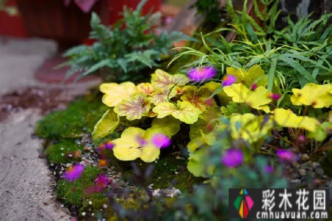 小面积花园 how 设计？Private 花园装饰避坑指南，看完玩得开心。