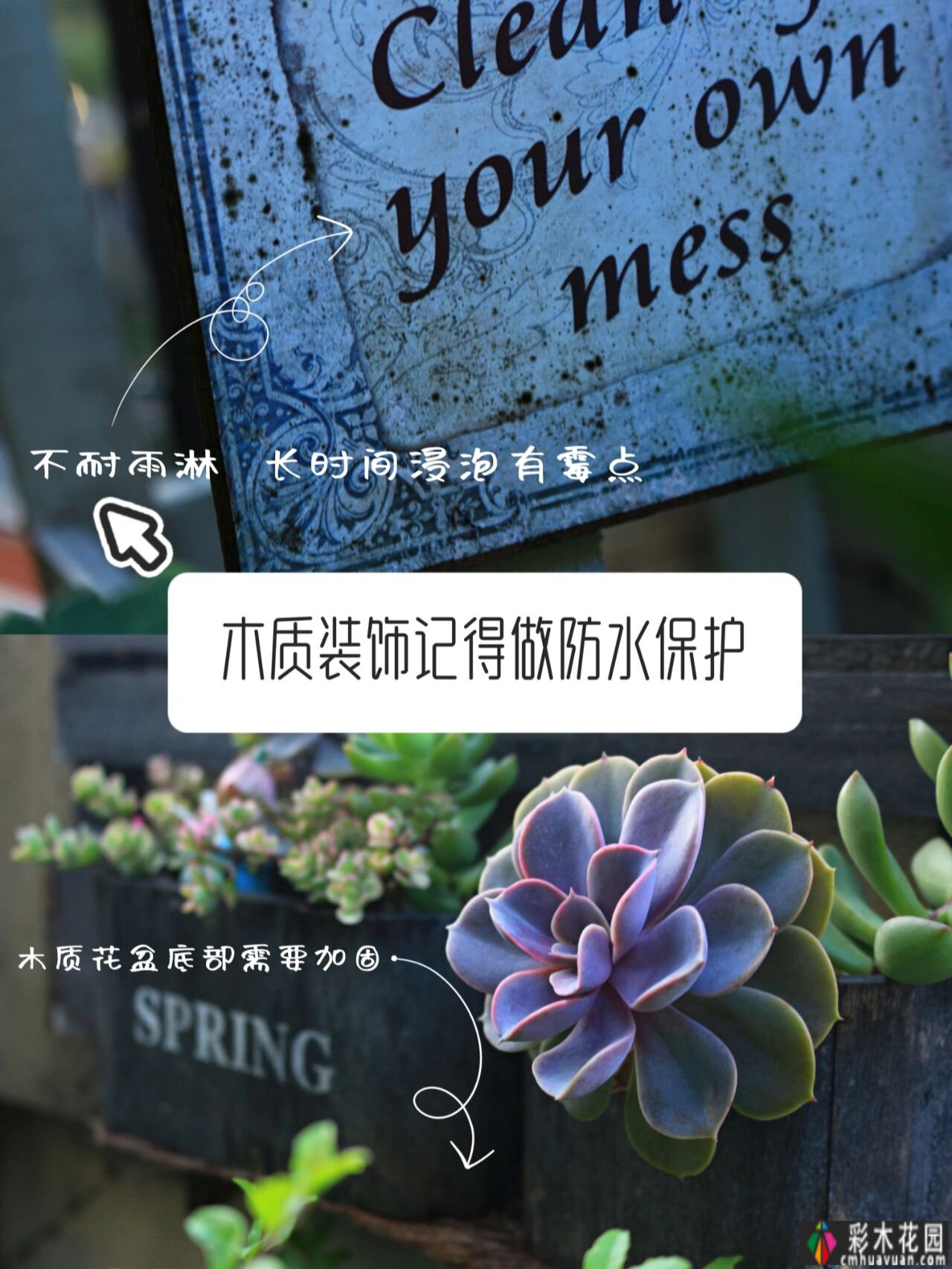 小面积花园 how 设计？Private 花园装饰避坑指南，看完玩得开心。