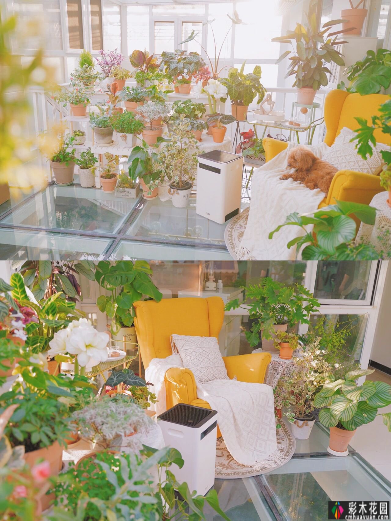 露台只用来晒衣服。真是浪费！玻璃“阳光花园”太宜人了。