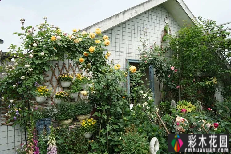 80㎡的露台“made 花园”住在自己亲手做的花园里，每天都像过节一样。