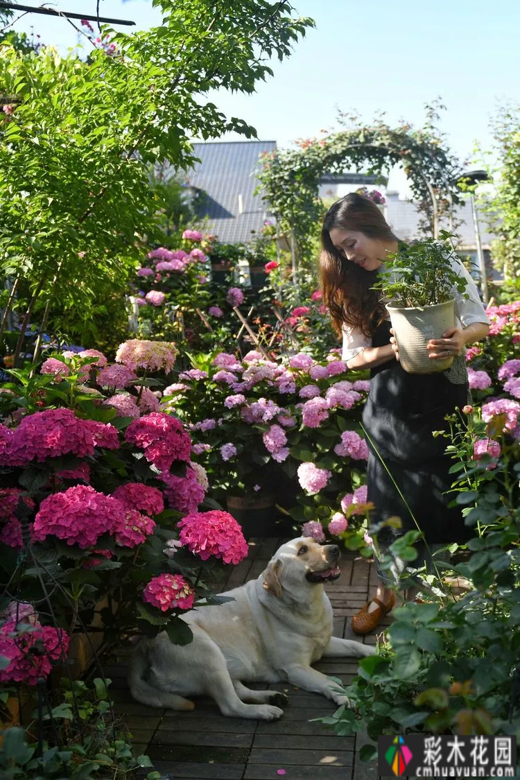 80㎡的露台“made 花园”住在自己亲手做的花园里，每天都像过节一样。