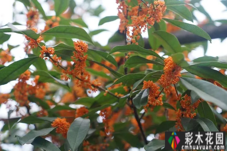 80㎡的露台“made 花园”住在自己亲手做的花园里，每天都像过节一样。