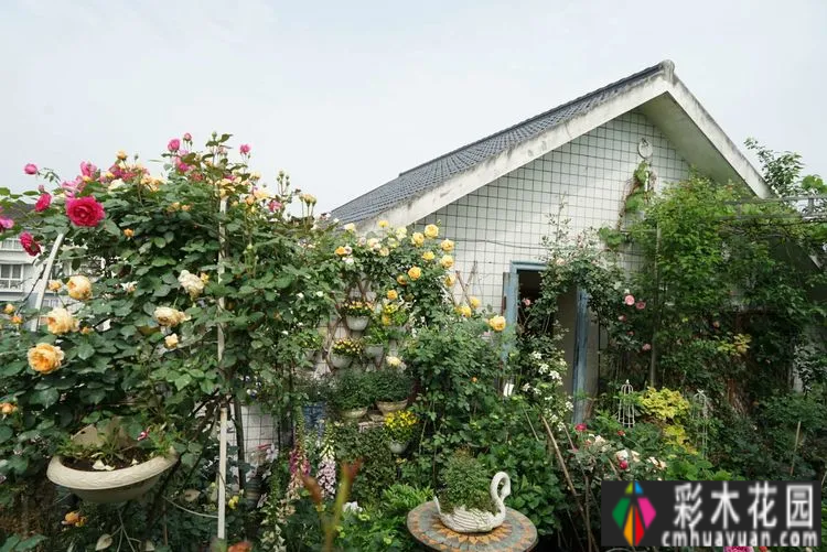 80㎡的露台“made 花园”住在自己亲手做的花园里，每天都像过节一样。