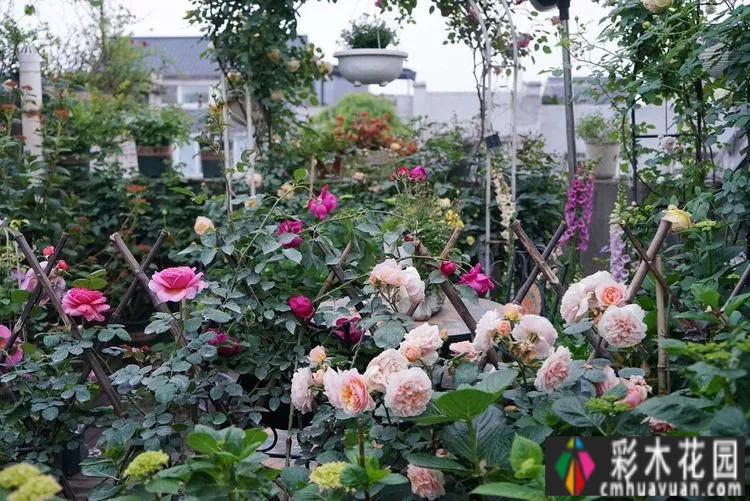 80㎡的露台“made 花园”住在自己亲手做的花园里，每天都像过节一样。