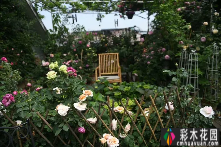 80㎡的露台“made 花园”住在自己亲手做的花园里，每天都像过节一样。