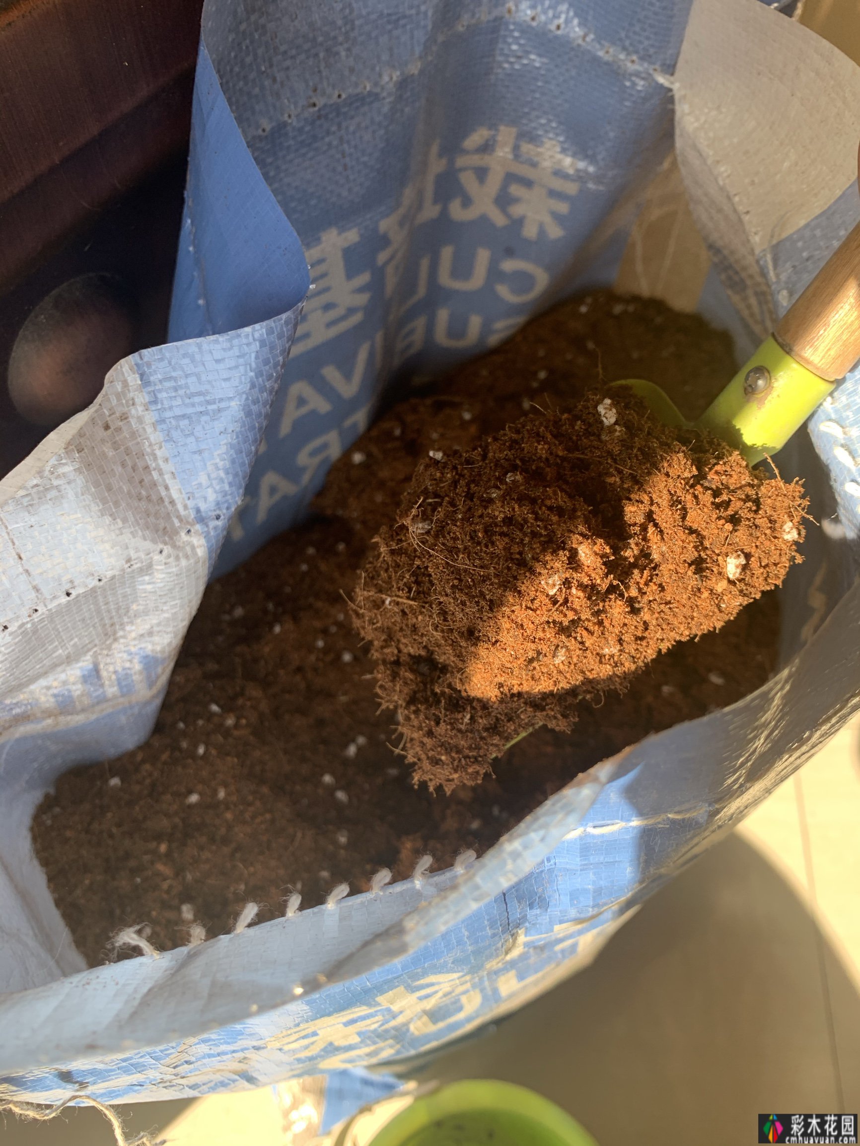 80㎡的露台“made 花园”住在自己亲手做的花园里，每天都像过节一样。