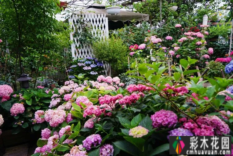 80㎡的露台“made 花园”住在自己亲手做的花园里，每天都像过节一样。