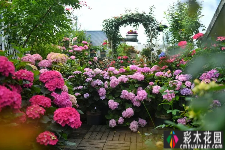 80㎡的露台“made 花园”住在自己亲手做的花园里，每天都像过节一样。