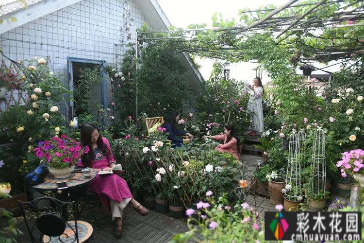 80㎡的露台“made 花园”住在自己亲手做的花园里，每天都像过节一样。