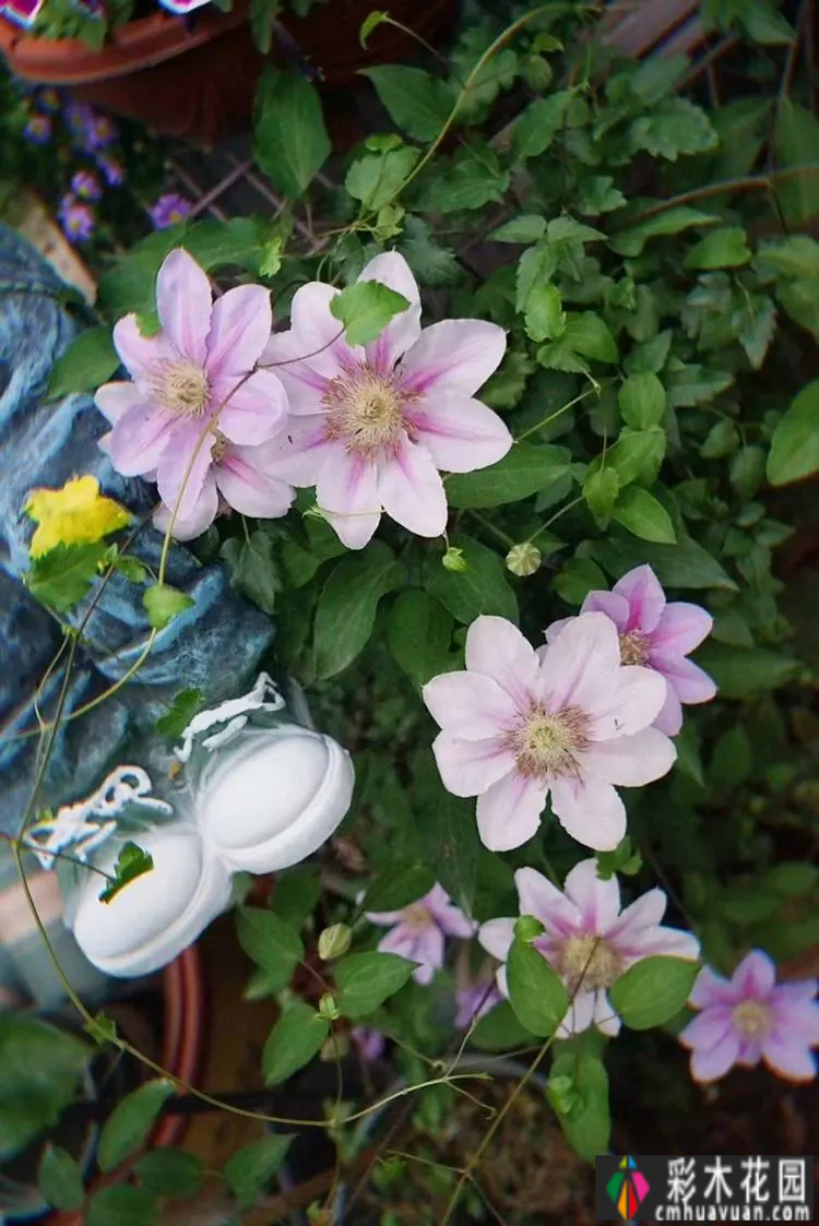 80㎡的露台“made 花园”住在自己亲手做的花园里，每天都像过节一样。