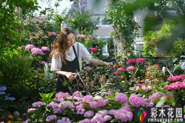 80㎡的露台“made 花园”住在自己亲手做的花园里，每天都像过节一样。