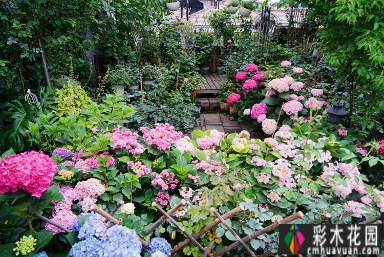80㎡的露台“made 花园”住在自己亲手做的花园里，每天都像过节一样。