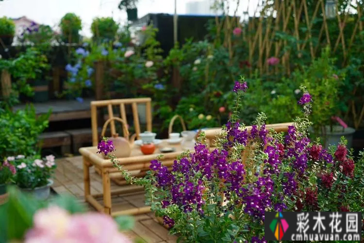 80㎡的露台“made 花园”住在自己亲手做的花园里，每天都像过节一样。