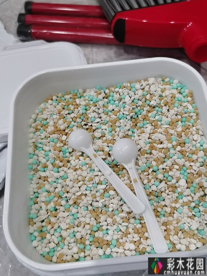 六年前，我买了一楼，有40㎡的院子，在一个钢筋水泥的城市建了自己的花园。