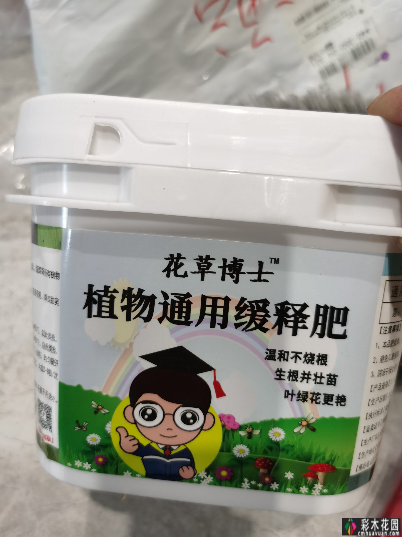 六年前，我买了一楼，有40㎡的院子，在一个钢筋水泥的城市建了自己的花园。