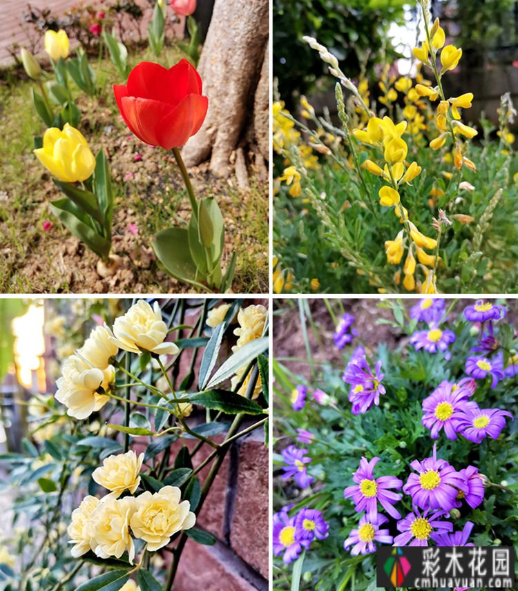 三年匠心打造，一楼90㎡ 庭院 花园，现代与古典交融，美得醉人。