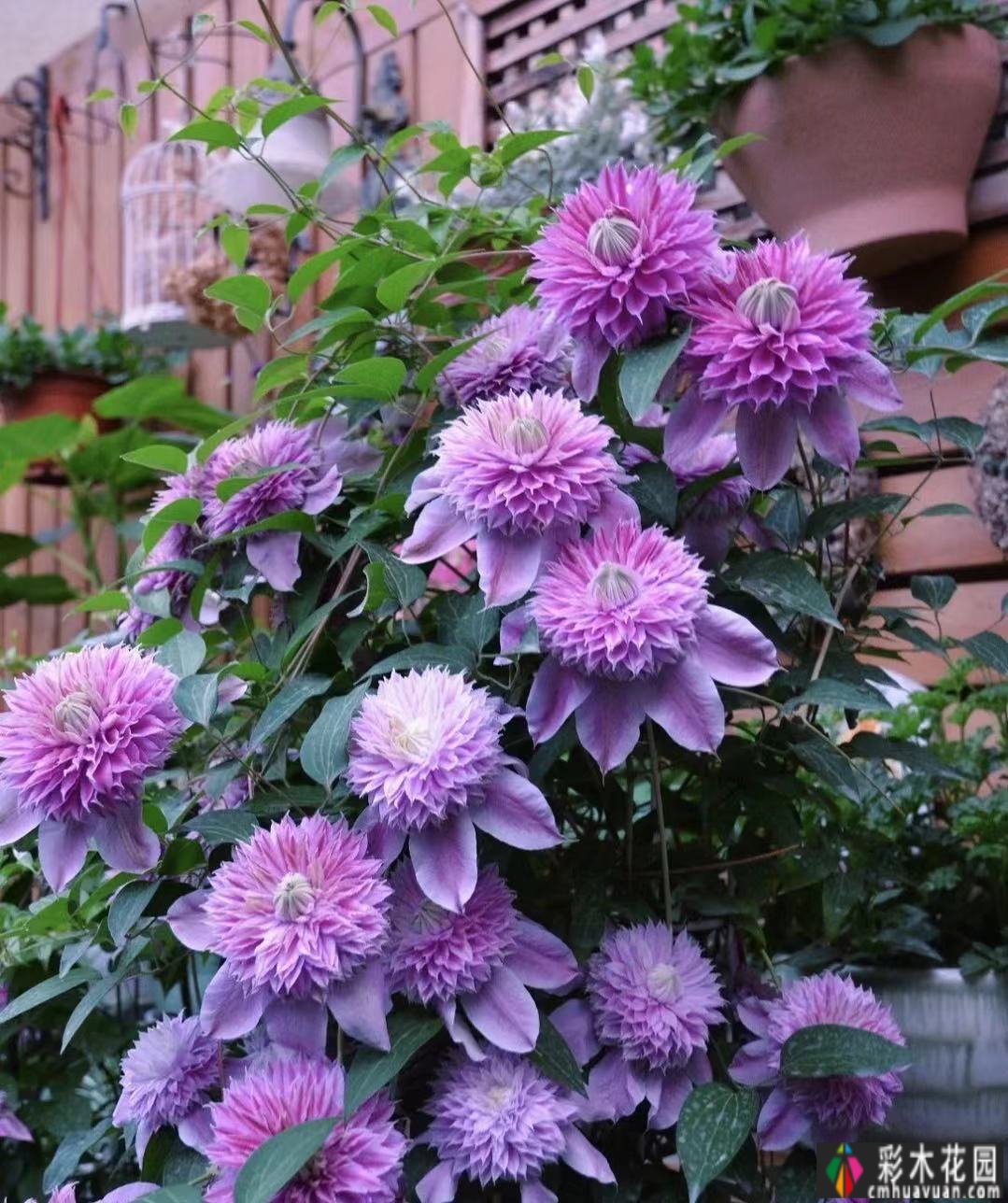 三年匠心打造，一楼90㎡ 庭院 花园，现代与古典交融，美得醉人。