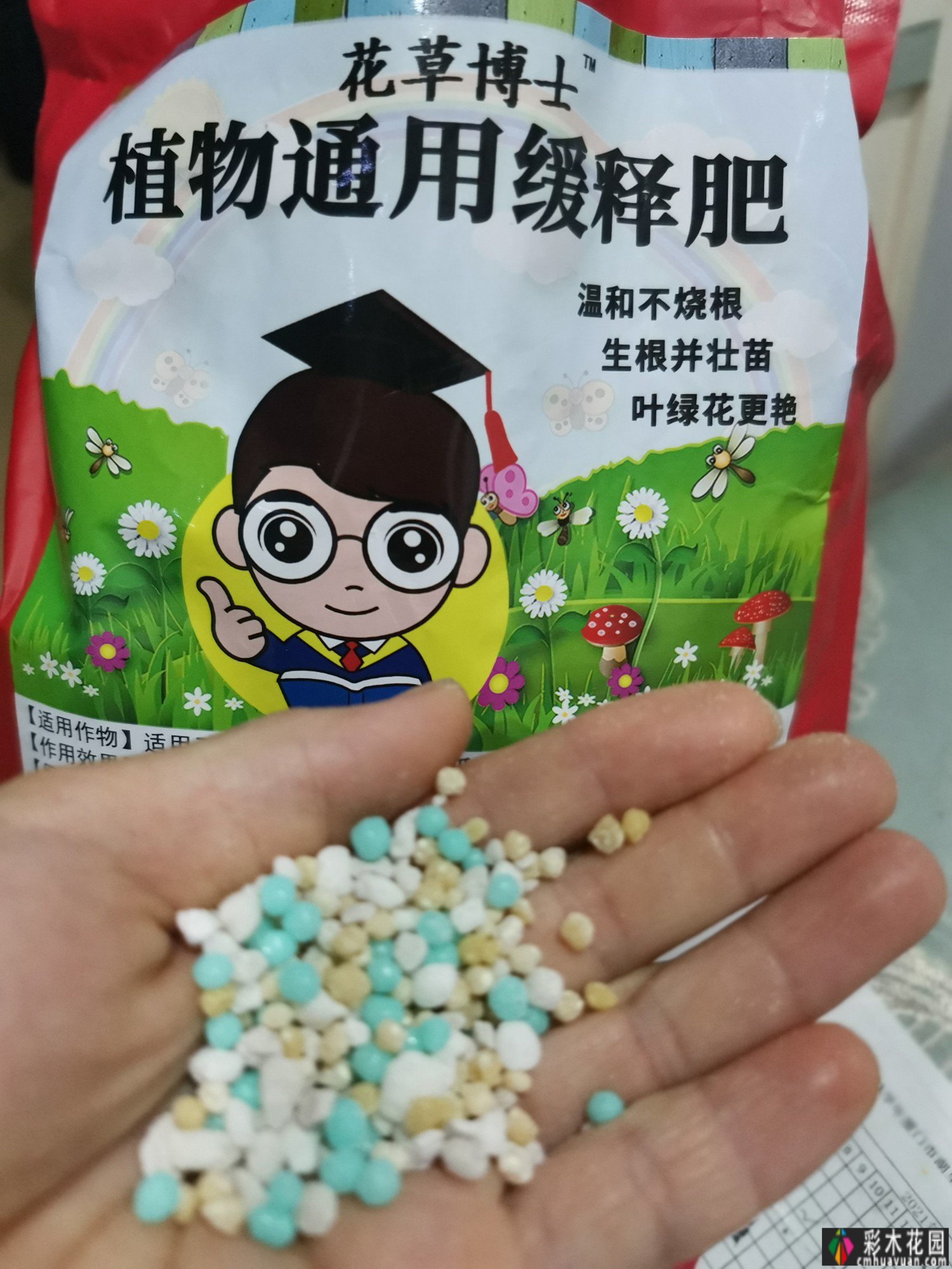三年匠心打造，一楼90㎡ 庭院 花园，现代与古典交融，美得醉人。