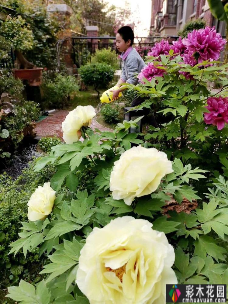 三年匠心打造，一楼90㎡ 庭院 花园，现代与古典交融，美得醉人。