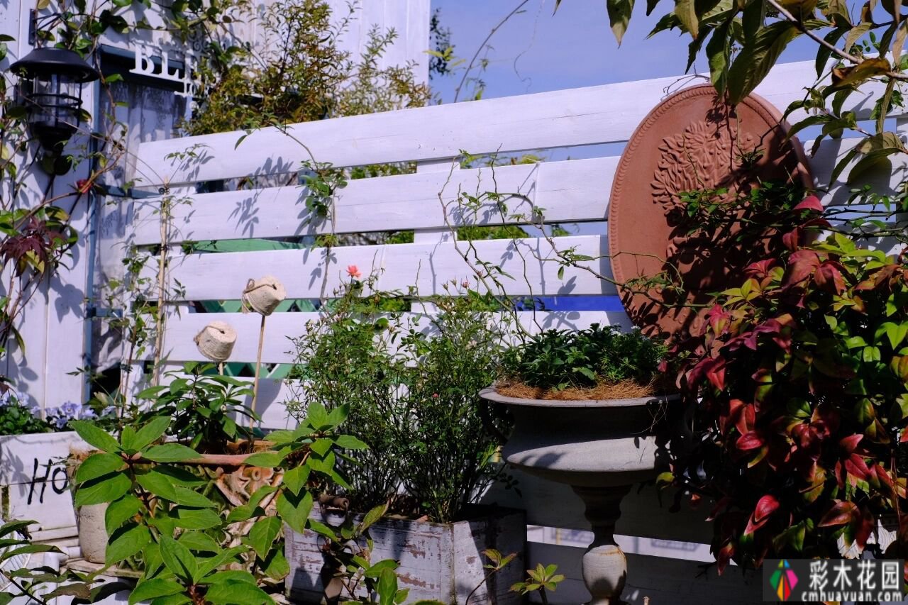六楼楼顶，28m2露台的DIY楼花园，没有大院子，楼顶种花也很香。