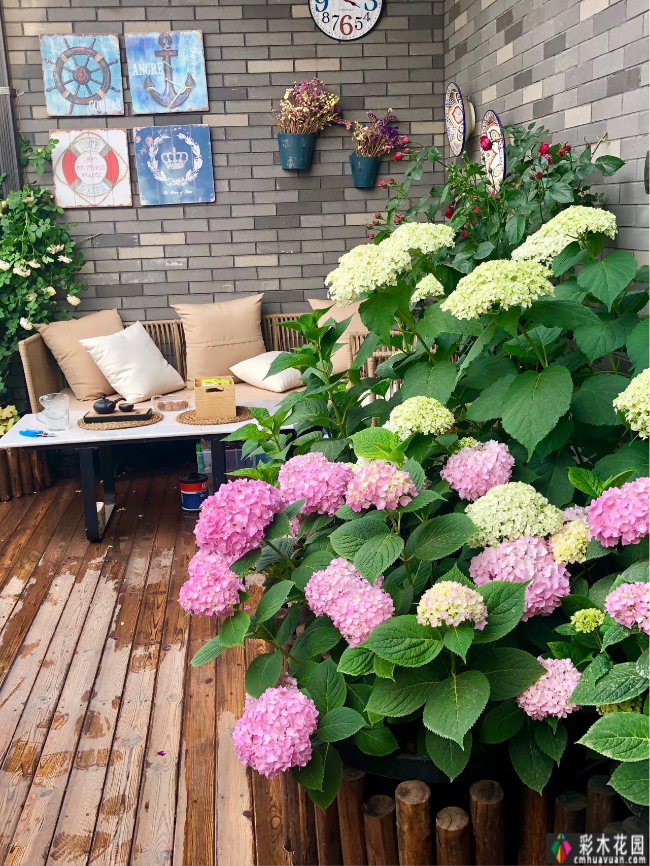 DIY改造了25㎡的露台，做小了花园，在城市屋顶过上了田园生活。