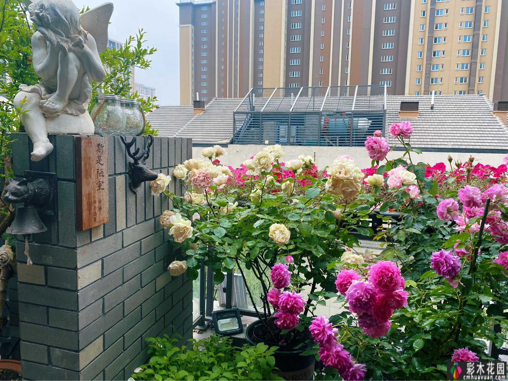 DIY改造了25㎡的露台，做小了花园，在城市屋顶过上了田园生活。