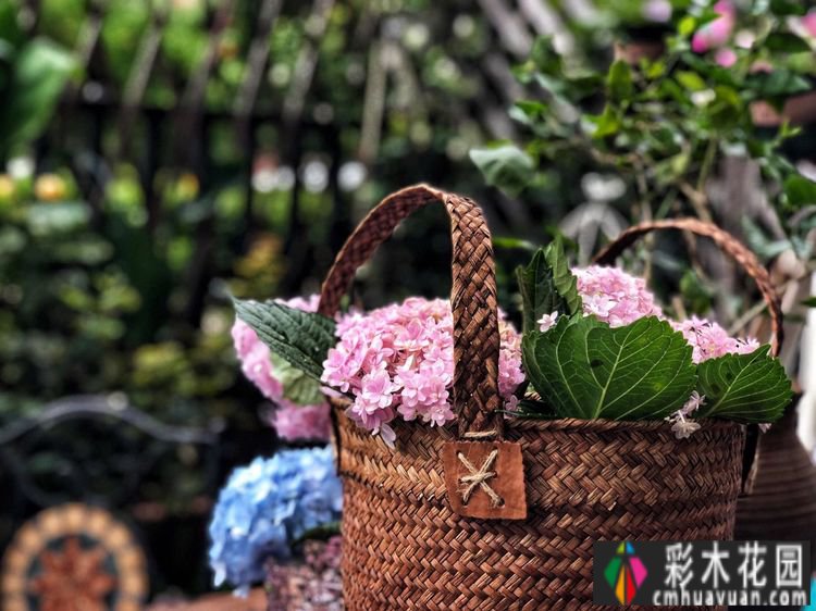 一楼37㎡ 花园装修，繁华都市每天都有花草，好惬意。