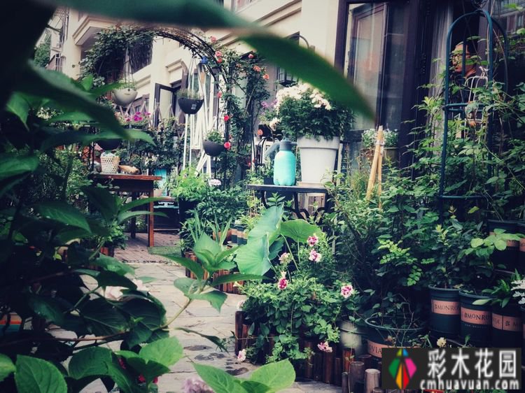 一楼37㎡ 花园装修，繁华都市每天都有花草，好惬意。