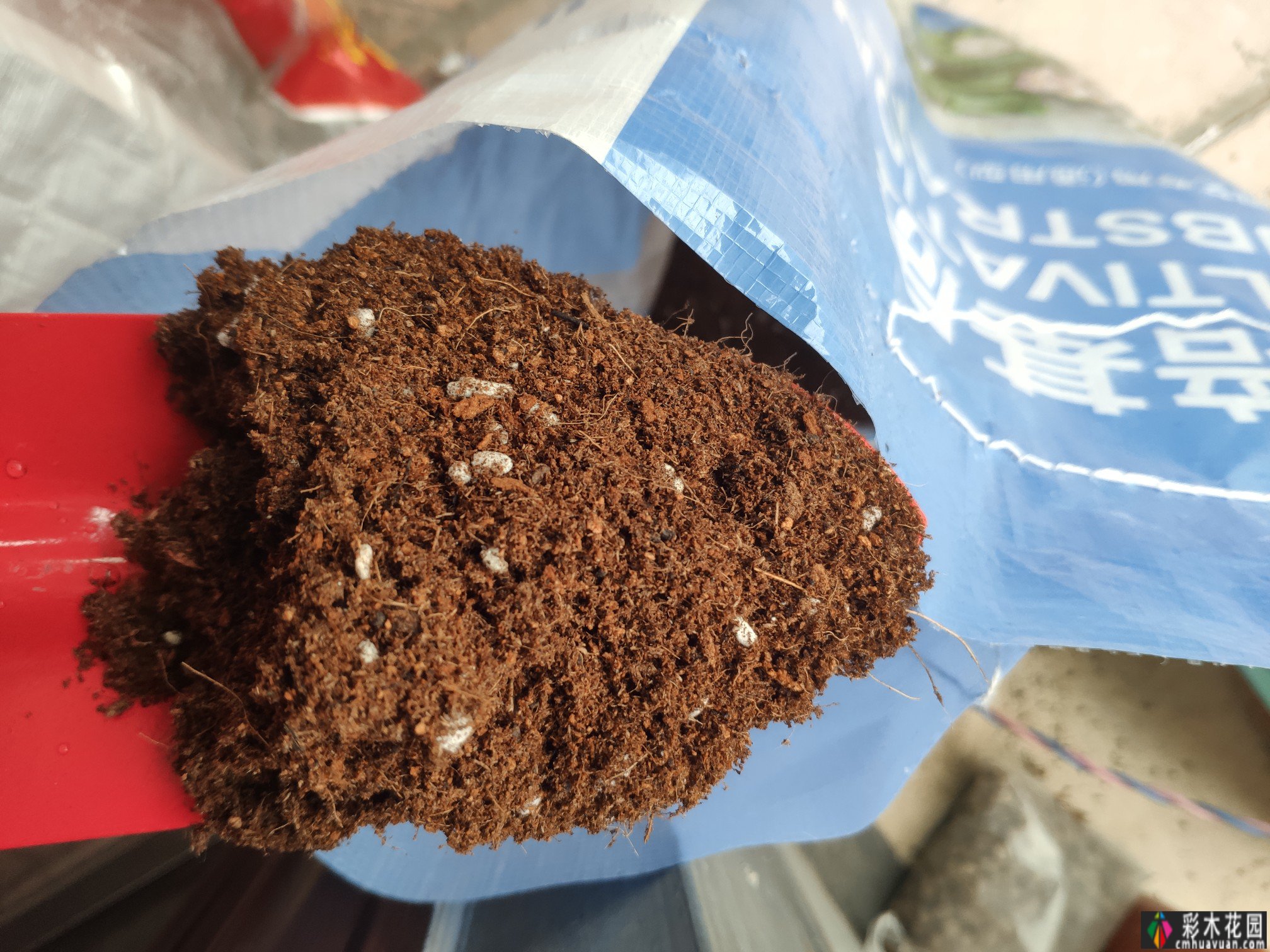 一楼37㎡ 花园装修，繁华都市每天都有花草，好惬意。